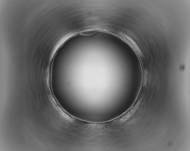 X0000097640812200803071551