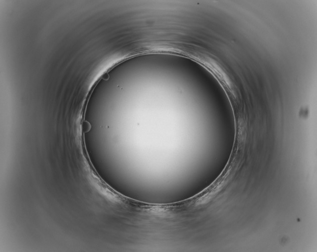 X0000097640814200803071551