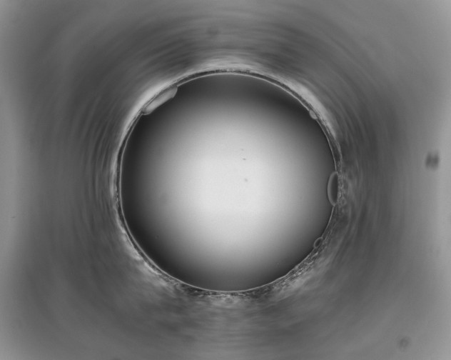 X0000097640815200803071551