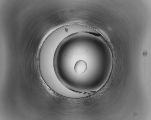 X0000097640816200803071551