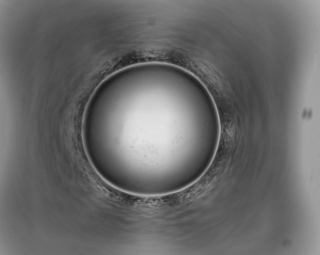 X0000097640817200803071551