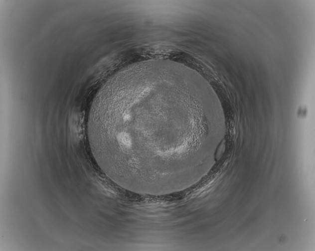 X0000097640818200803071551