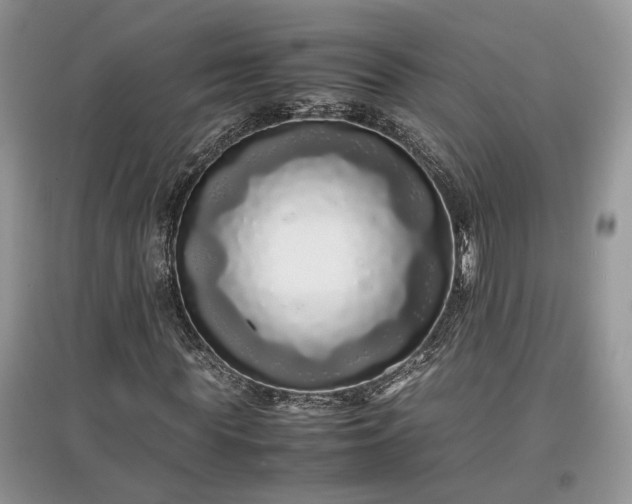 X0000097640819200803071551