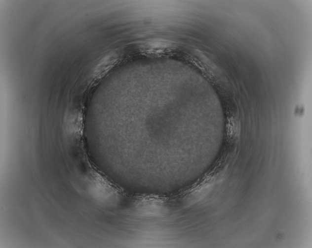 X0000097640820200803071551