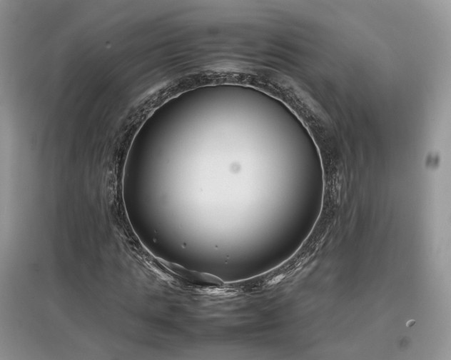 X0000097640821200803071551