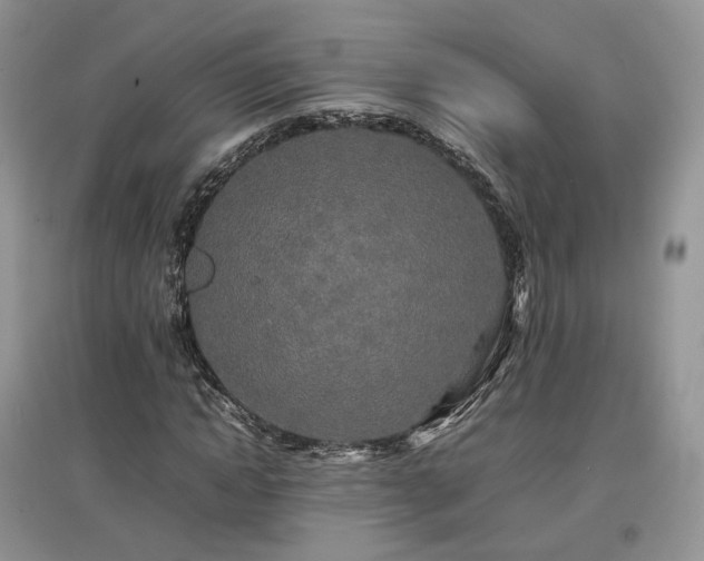 X0000097640822200803071551