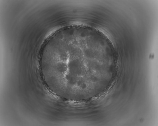 X0000097640823200803071551