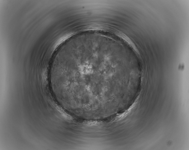 X0000097640826200803071551