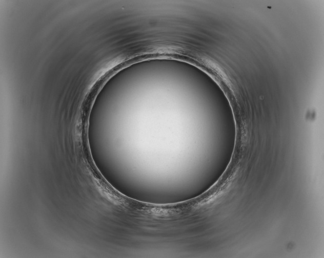 X0000097640827200803071551