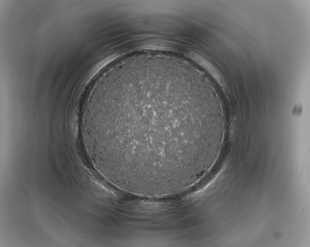 X0000097640829200803071551