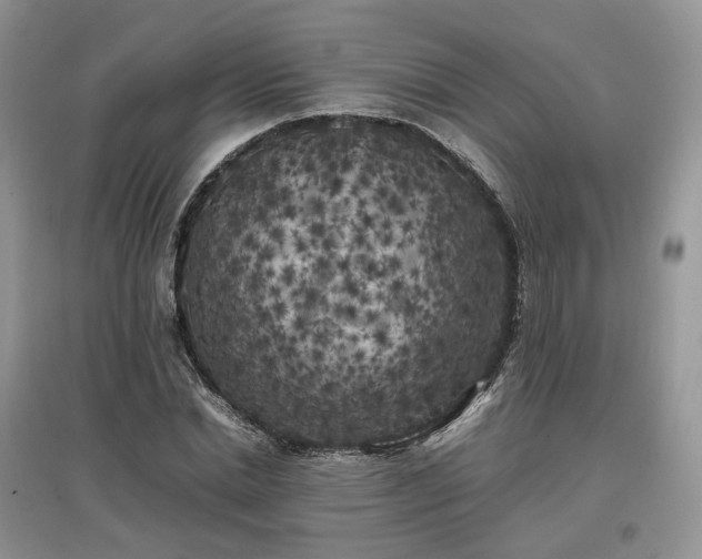 X0000097640830200803071551