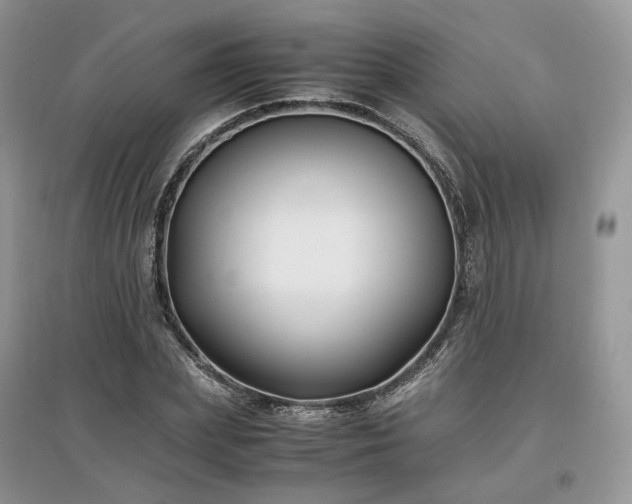 X0000097640831200803071551