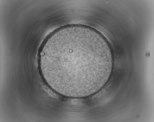 X0000097640832200803071551