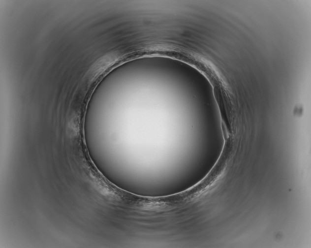 X0000097640833200803071551