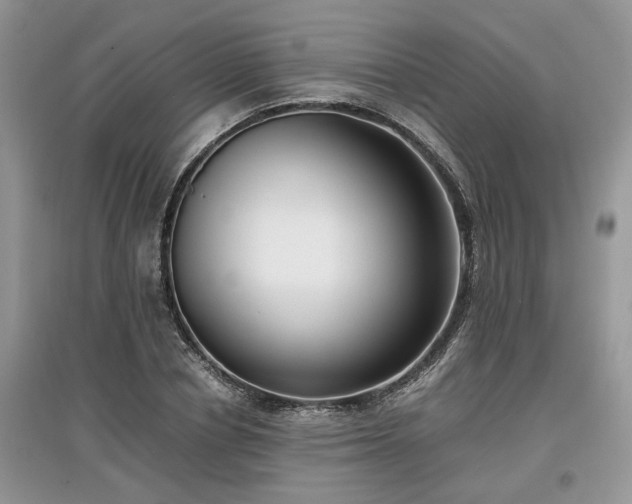 X0000097640834200803071551