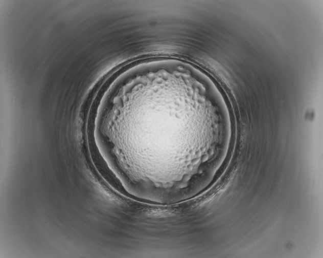 X0000097640835200803071551