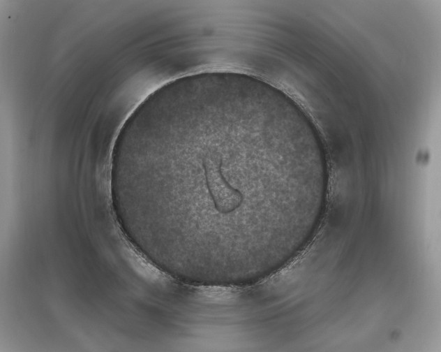 X0000097640836200803071551