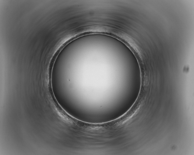 X0000097640837200803071551