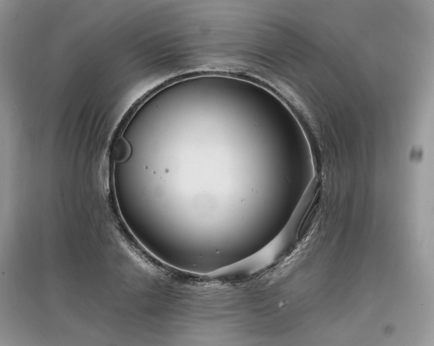 X0000097640838200803071551