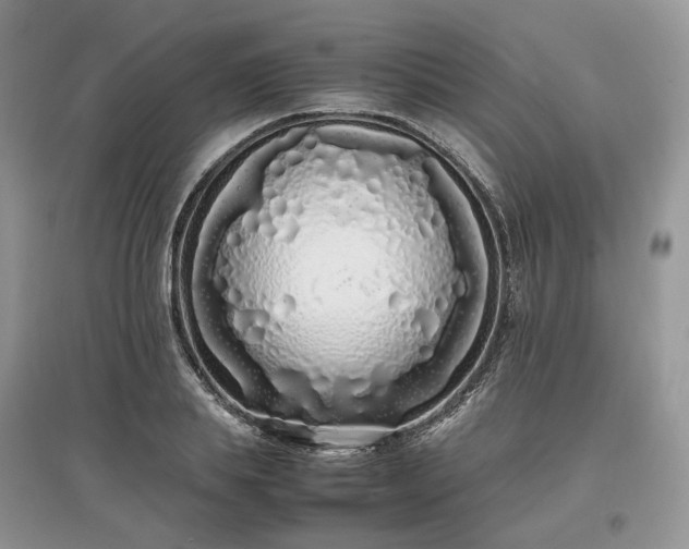 X0000097640839200803071551