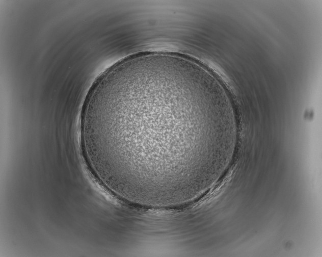 X0000097640840200803071551