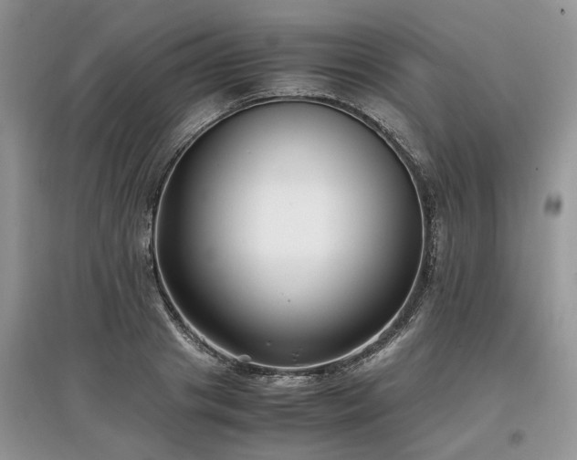 X0000097640841200803071551