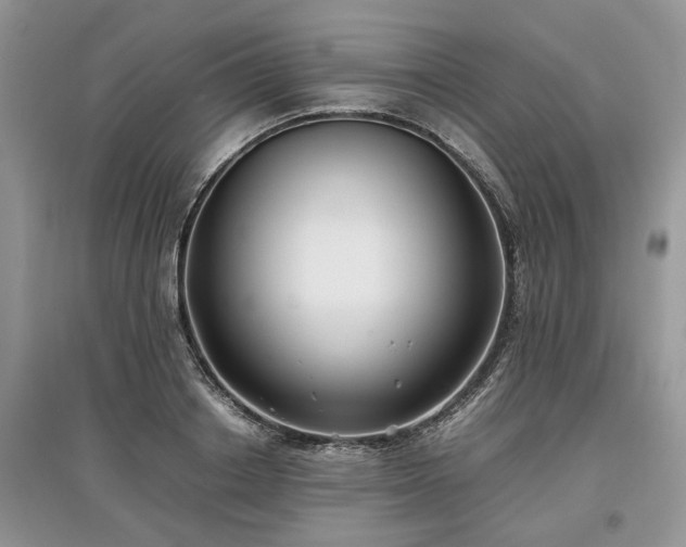 X0000097640842200803071551