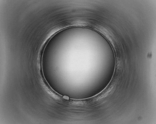 X0000097640843200803071551