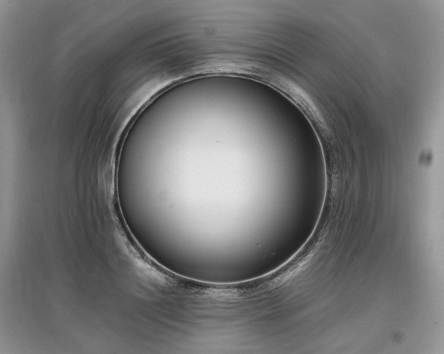 X0000097640844200803071551