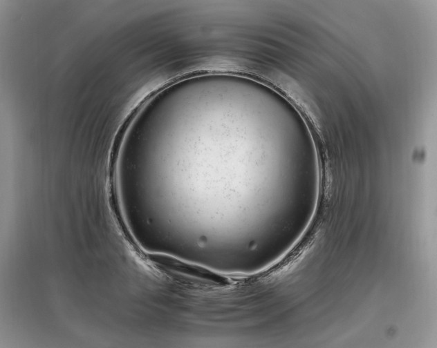 X0000097640845200803071551