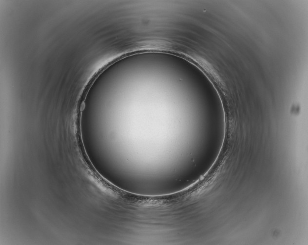 X0000097640846200803071551