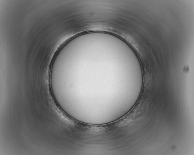 X0000097640848200803071551