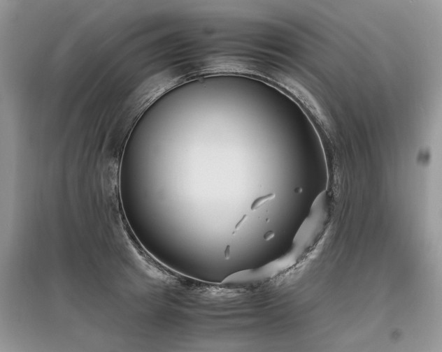 X0000097640849200803071551