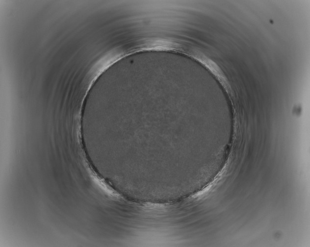 X0000097640850200803071551