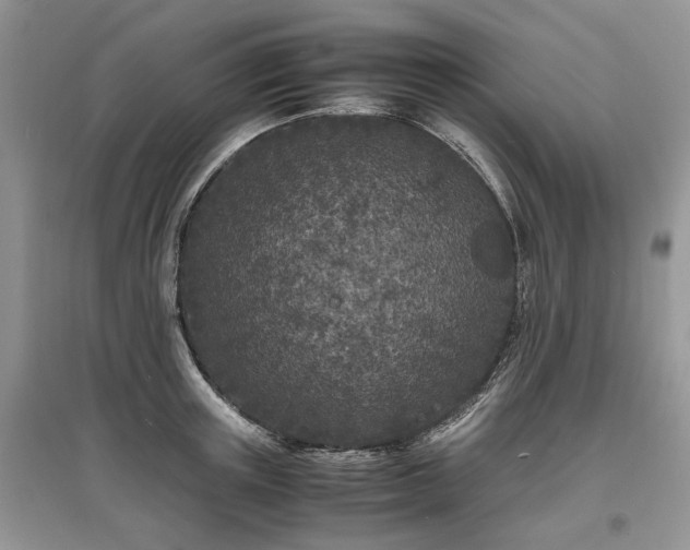 X0000097640851200803071551