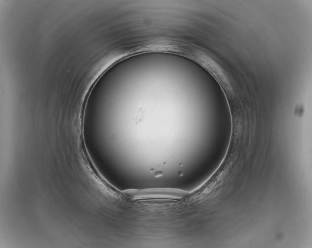 X0000097640852200803071551