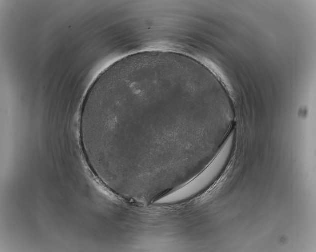 X0000097640854200803071551