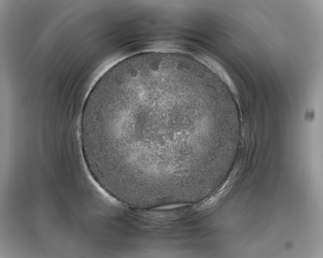 X0000097640855200803071551