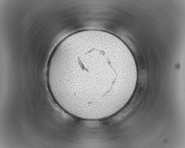 X0000097640856200803071551