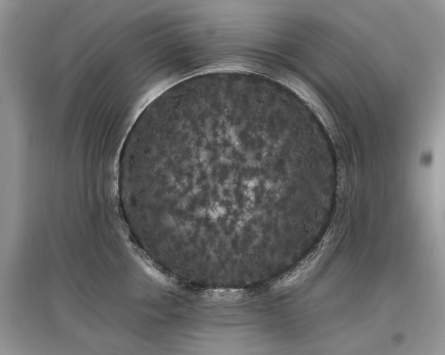 X0000097640858200803071551