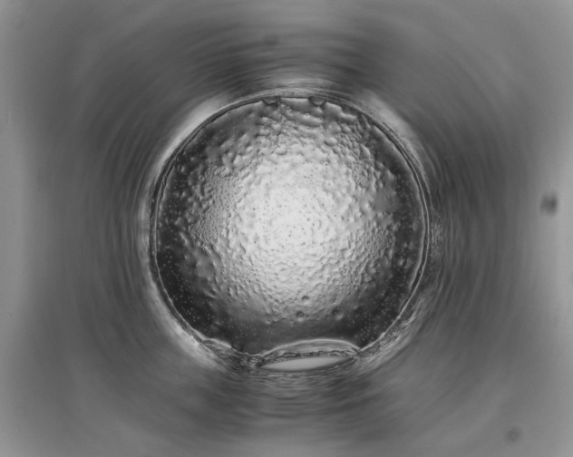 X0000097640859200803071551