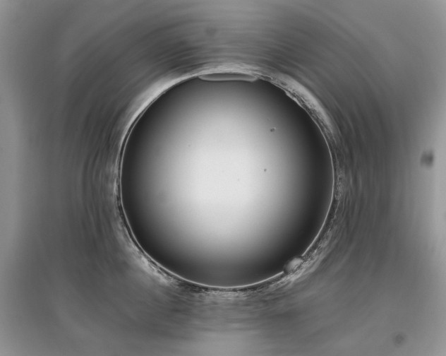 X0000097640860200803071551