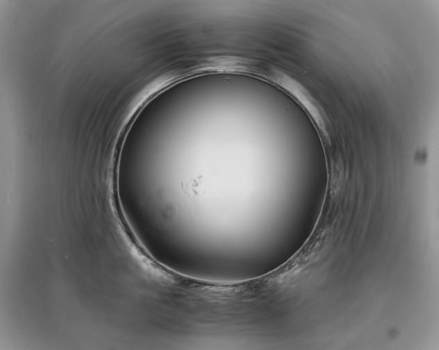 X0000097640861200803071551