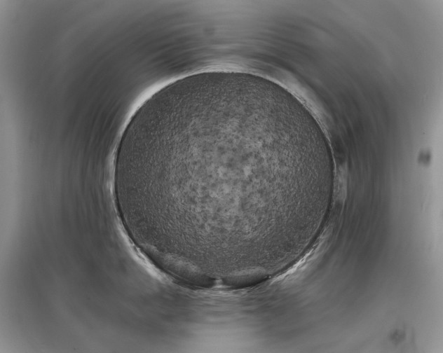 X0000097640862200803071551