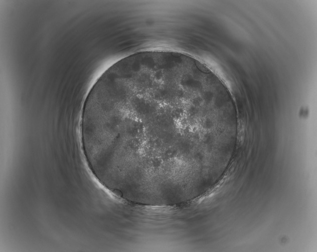 X0000097640863200803071551