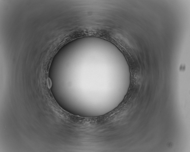 X0000097640865200803071551