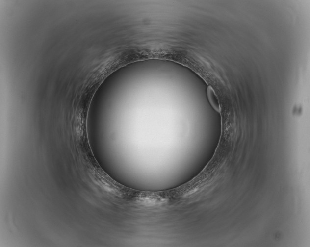 X0000097640866200803071551