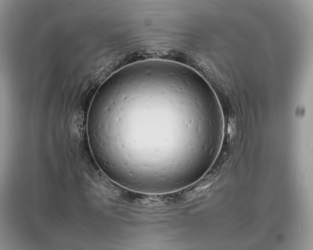 X0000097640867200803071551