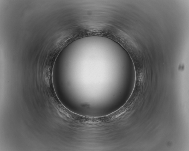 X0000097640868200803071551