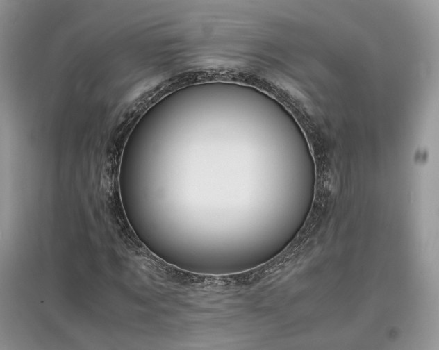 X0000097640869200803071551